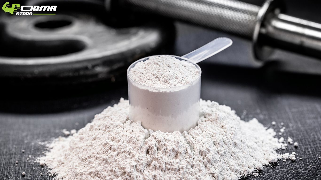 creatine monohydrate Egypt daily dose in water