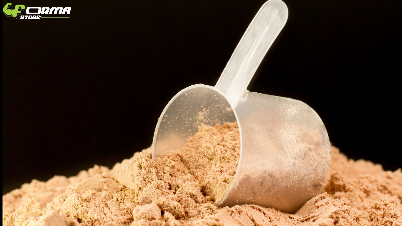 whey isolate vs concentrate comparison in Egypt