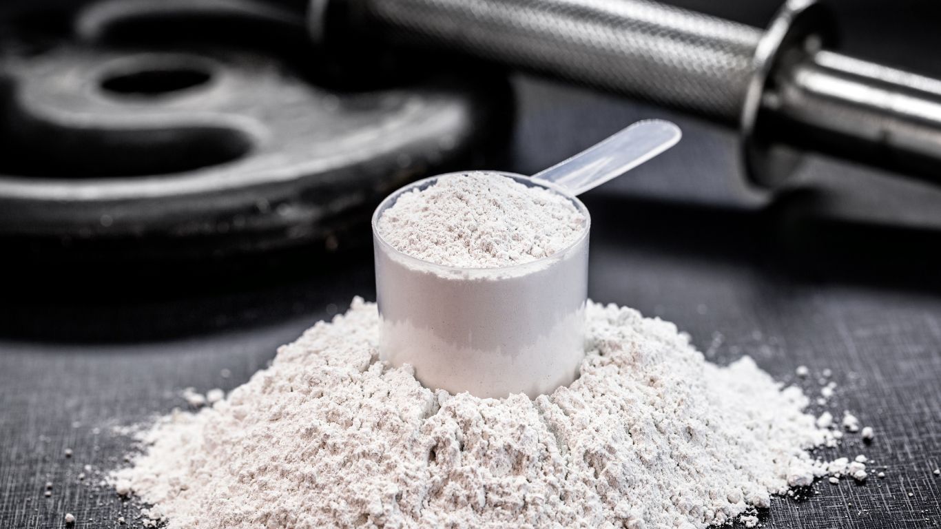How Much Creatine Per Day? Dose, Loading & Timing | Forma Store Egypt hero image