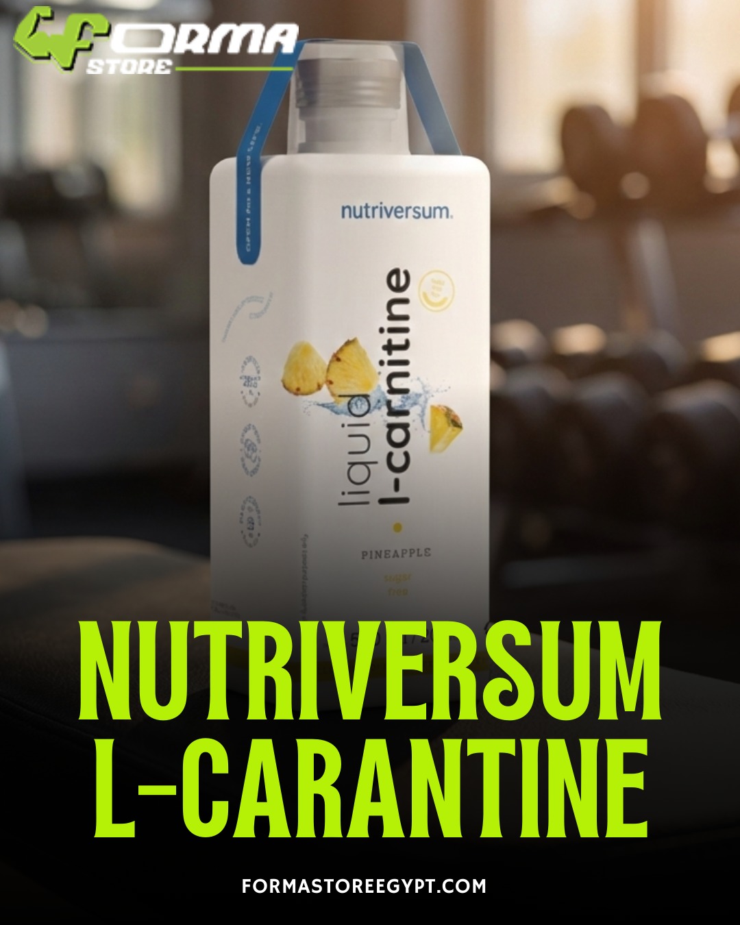 Nutriversum FLOW Liquid L-Carnitine (500 ml) - Forma Store Egypt