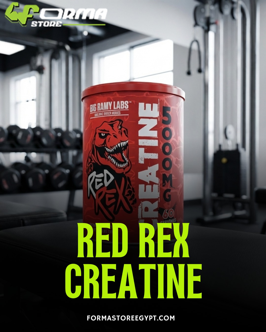 Big Ramy Labs Red Rex Creatine 5000mg (Unflavored) 300g | 60 Servings - Forma Store Egypt